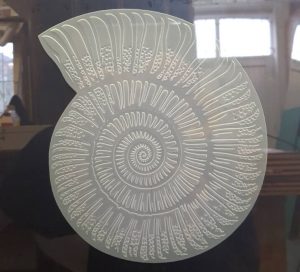 shell image on glass