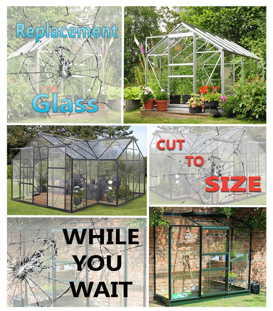 Greenhouse Glass