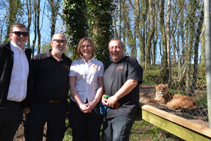 Monkey Business at Dartmoor Zoo Cornwall Glass