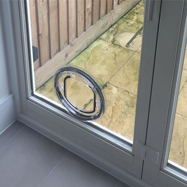 Pet Doors for Glass in Devon Cornwall Somerset