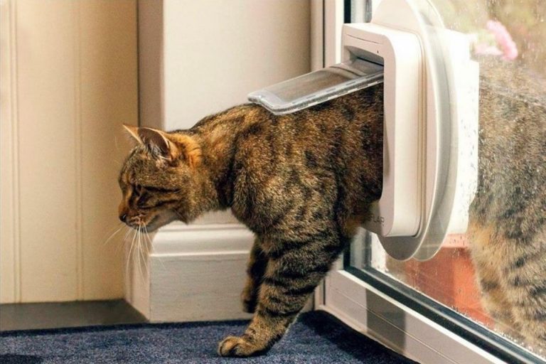 Replacement Double Glazed Units